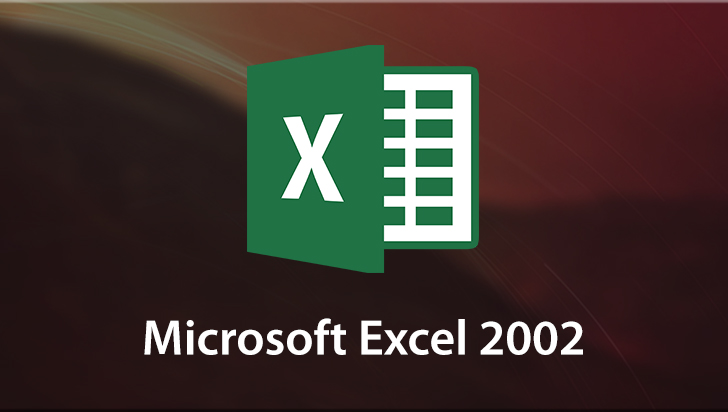 Microsoft Excel 2002