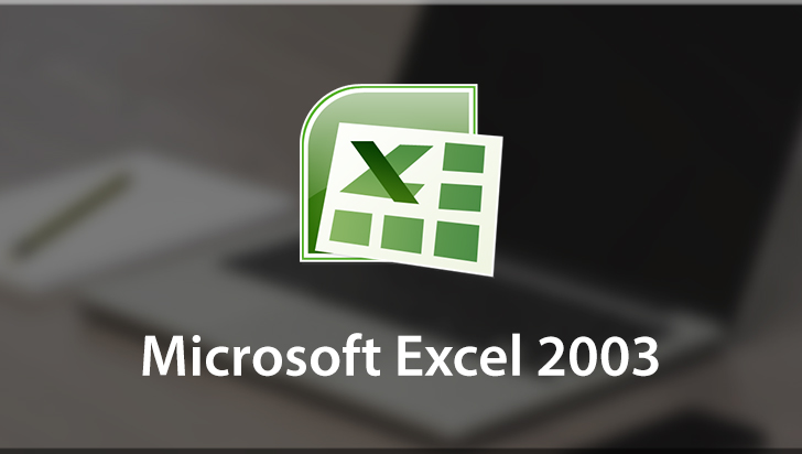 Microsoft Excel 2003