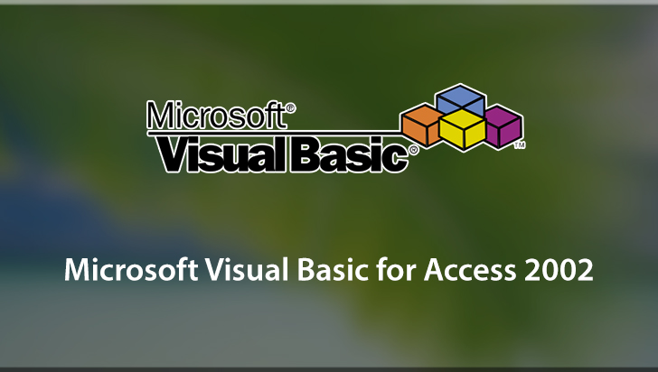 Microsoft Visual Basic for Access 2002