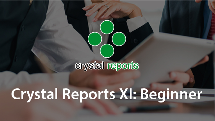 Crystal Reports XI: Beginner