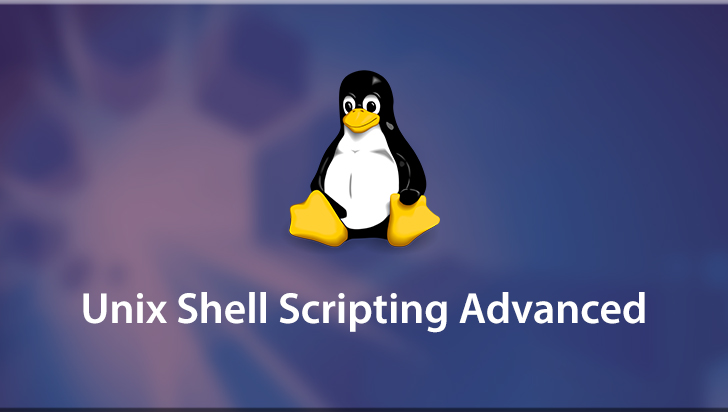 Unix Shell Scripting Advanced