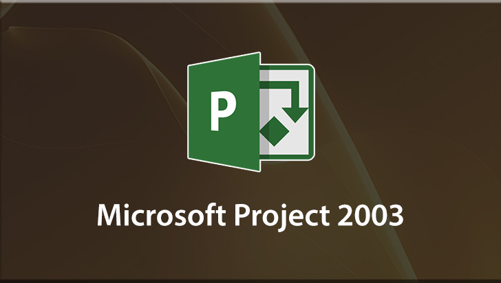 Microsoft Project 2003