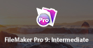 FileMaker Pro 8: Intermediate