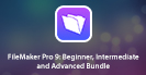 FileMaker Pro 8: Beginner, Intermediate and Advanced Bundle