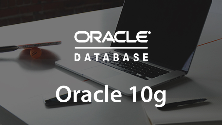 Oracle 10g