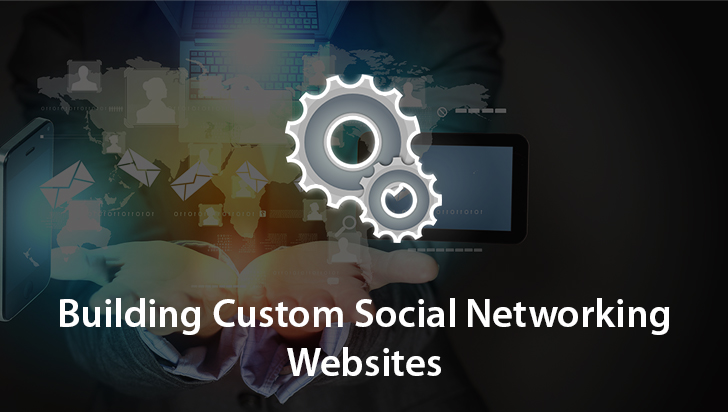 Building Custom Social Networking Websites