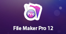 FileMaker Pro 12: Beginner