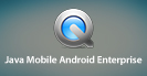 Java Mobile Android Enterprise