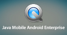 Java Mobile Android Enterprise