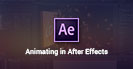 Animating in After Effects