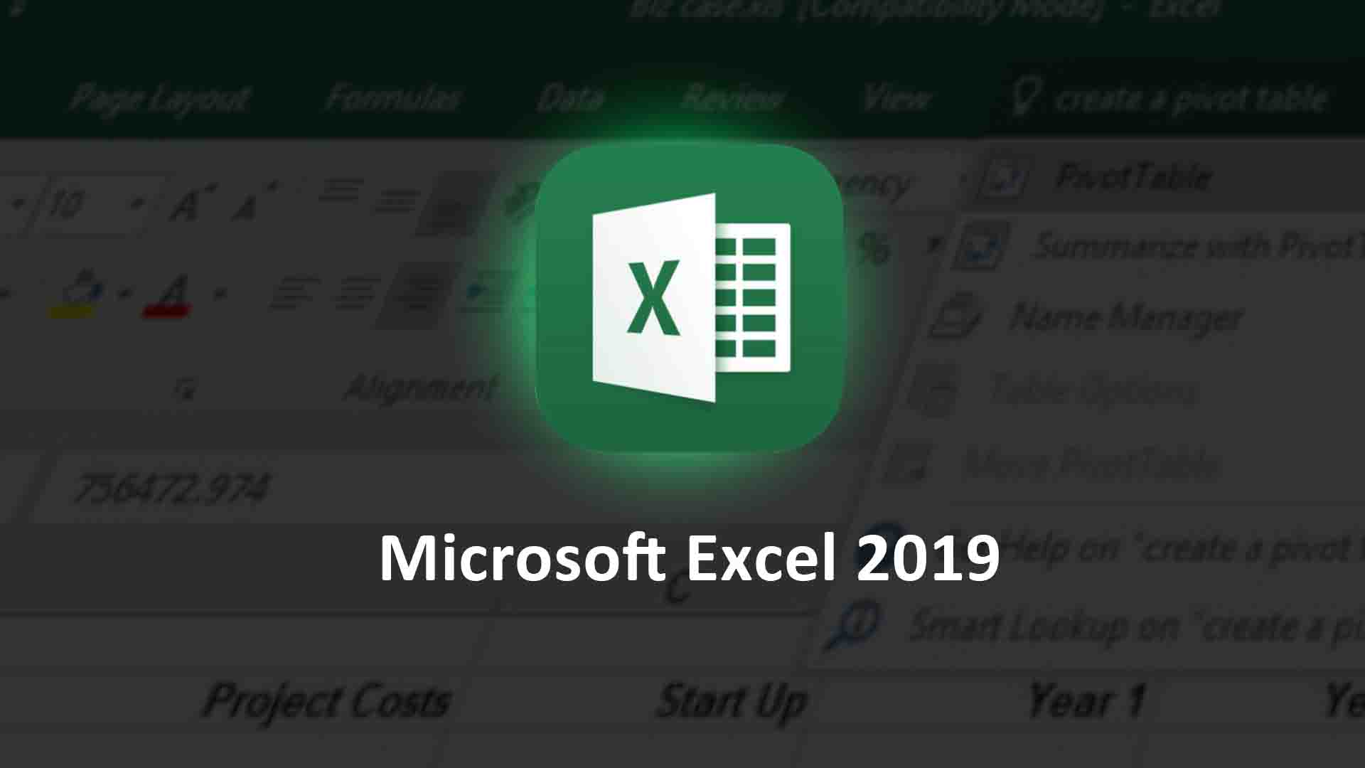 Microsoft Excel 2019