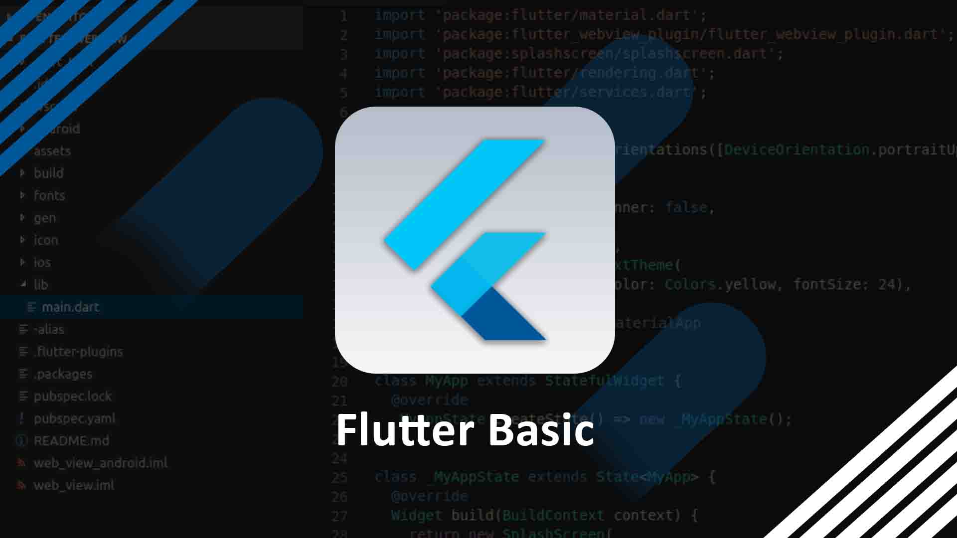 Flutter Basic