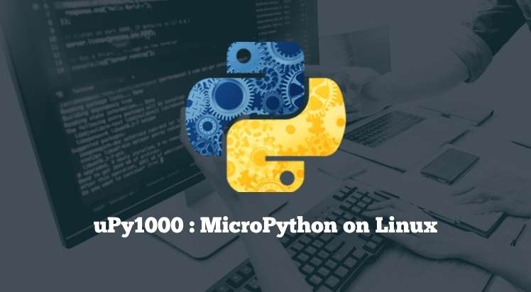 uPy1000 : MicroPython on Linux